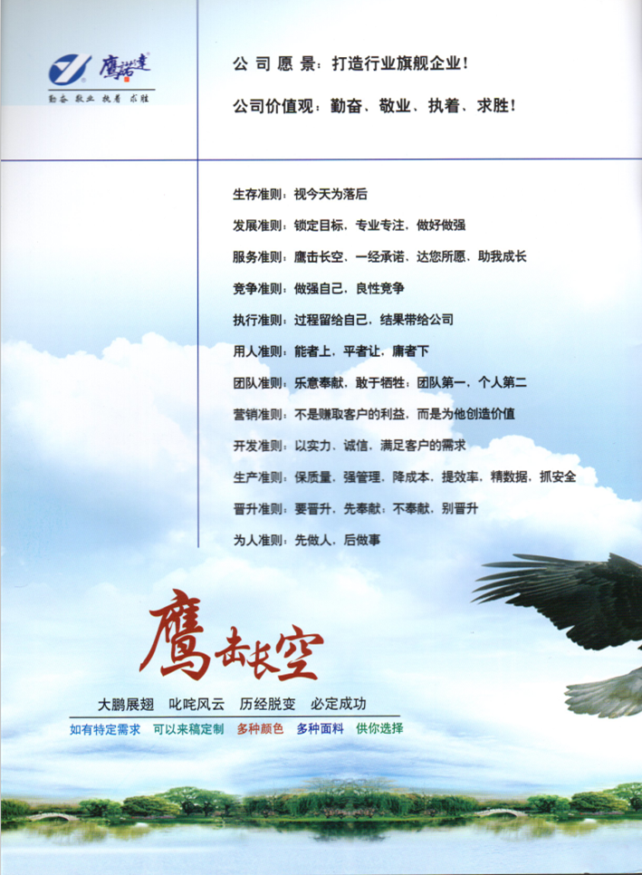 鹰诺达价值观,公司愿景 鹰诺达价值观,公司愿景